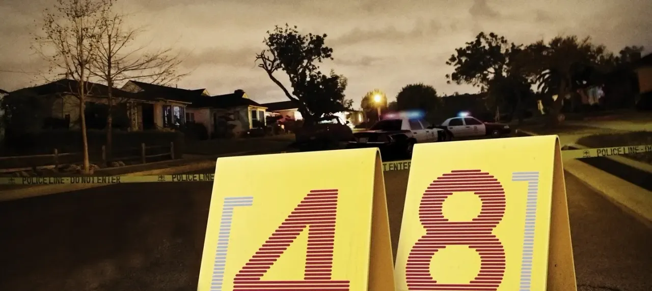 Esimesed 48 tundi