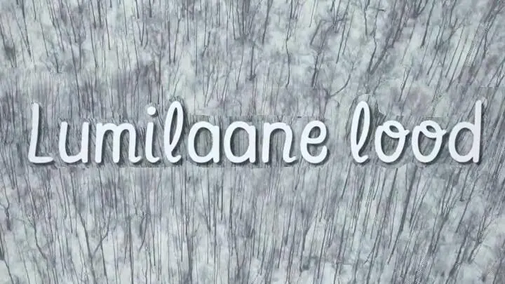 Lumilaane lood
