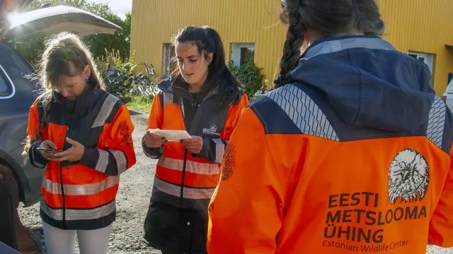 Kasuemad