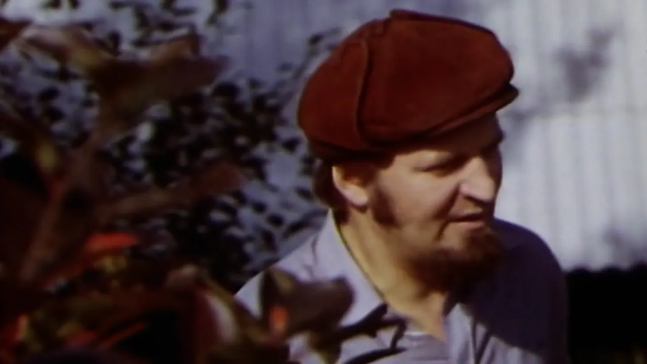 Aedniku sügis