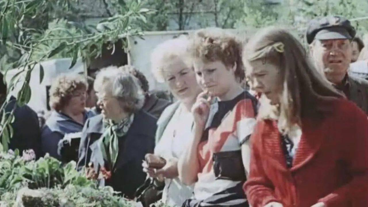 Lillelaat