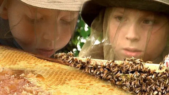 Siim, Samuli ja Dolce vita (2009)
